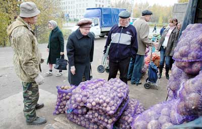 Хорошо расходилась моргаушская картошка по 6,5 руб. за килограмм.  Фото Валерия Бакланова.