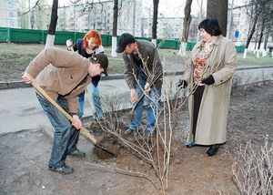 Жители дома № 24 по ул. Советской в День дерева высаживали кустарники. Фото Валерия Бакланова.