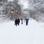 Как рассказал директор АУ “Ельниковская роща” В.Андреев, аллеи и дорожки очищаются от снега постоянно.  Фото автора и Ирины ХАННА