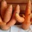 Морковь с достоинством сказала: “Деток у меня немало, все они прелестные, оранжево-полезные!”
