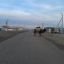 По улицам Аральска свободно гуляют верблюды. 