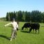 С любимой коровой Чернушкой. Александр и Татьяна иногда сами пасут коров.