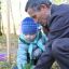Флавьян Воронов: В роще посадили 270 ростков дуба и 150 ели. Фото автора