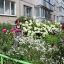 Вот уже 20 лет жительница дома № 8 по бульвару Гидростроителей Любовь Павловна Якушева занимается цветоводством под окнами своей квартиры.