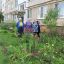 На ул. Комсомольской у дома № 2 цветы выращивают (слева направо) Лидия Ливенская, Раиса Никитина, Ираида Макарова. 