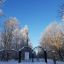 Ельниковская роща зимой прекрасна. Фото Наталии КОЛЫВАНОВОЙ