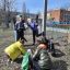 Экологические субботники — это не только о чистоте, но и о веселом настроении. Например, так проходила акция “Зеленая весна” в новочебоксарской школе № 17 в 2021 году. Фото из архива редакции