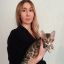 Бастет — котенок Прады. Сейчас живет во Владивостоке.   Фото из личного архива Н. Александровой