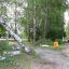 Шквалистым ветром в Новочебоксарске повалено одно дерево. Линия электропередач, пострадавшая при этом, восстановлена в короткие сроки. Фото nowch.cap.ru