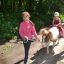 В Ельниковской роще дети катались на пони.  Фото с сайта администрации Новочебоксарска