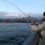 Рыбалка с моста в Босфоре.