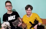 Новости: Кошек много не бывает - новости Чебоксары, Чувашия