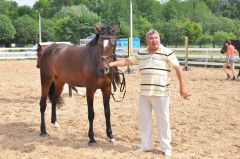 Валерий Краснов любит лошадей так же, как и они его. Фото Валерия БАКЛАНОВА.Что ты ржешь, мой конь ретивый?.. конно-спортивная школа 