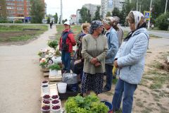 Власти Новочебоксарска провели выездное заседание на стихийных рынках