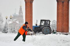 © Фото Валерия БаклановаЭкзаменатор белый  и пушистый снегопад 