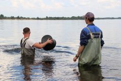  ПАО «Химпром» провело мероприятие по зарыблению реки Волги мальками стерляди Химпром 