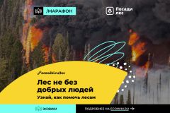  Чувашия присоединилась к всероссийскому марафону против лесных пожаров экология Чувашии 