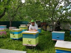 Работе в офисе Дмитрий Галимзянов предпочитает общение с природой, труд на свежем воздухе. “Сотовая” связь,  или Прогрессивный пчеловод Человек труда пчеловод 