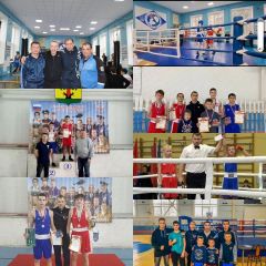 Новочебоксарские  боксеры показали  мастерство на трех рингах. Фото спортшколы № 1Пьедестал собирает сильнейших