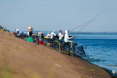1dxl3486.jpgКубок России 2017 года по рыболовному спорту прошёл в Чебоксарах День города Чебоксары-2017 