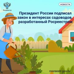 Изменения в законахНа дачах в России теперь можно держать кур и кроликов Росреестр разъясняет 