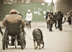 29 ноября - горячая линия «Как тебе живется, инвалид?» инвалиды 