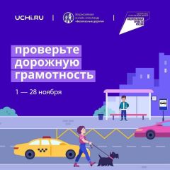 Безопасность в доступном формате. Всероссийскую онлайн-олимпиаду “Безопасные дороги” проводит “Учи.ру” 