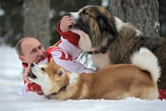41d45951b6f395685cc0.jpegПрогулка Владимира Путина с собаками (фото) собаки путин 