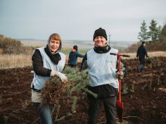 ПосадкиМиллион рублей потратили россиянки, чтобы подарить мужчинам посадки леса в 2022 году 23 февраля - День защитника Отечества 