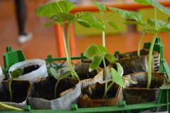 В Чувашии в детском саду открыли первую агролабораторию при поддержке фермера