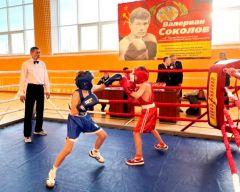 ТурнирВ Чувашии состоялся II республиканский турнир по боксу на призы олимпийского чемпиона Валериана Соколова бокс 