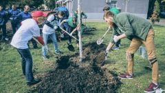 Сфера заботы о природе не ограничивается посадкой деревьев...Эковолонтерство: шаг к сохранению Земли Волонтерство Бумеранг добра 