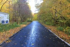 В Ельниковской роще завершен ремонт дорог на территории парка