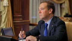 Защита прав пенсионеров, нарушения трудового законодательства, поддержка педагогов - Дмитрий Медведев провел прием граждан «Единая Россия» 