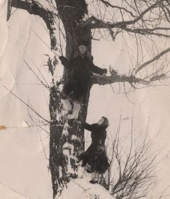 Дерево, возле которого познакомились супруги Болотины.  Фото из домашнего альбомаРади любимого пошла на хитрость На житейских перекрестках 