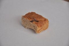 Муха в хлебе, таракан в пироге Фотофакты 