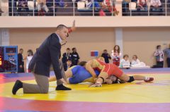 DSC_9276.JPGОнлайн-трансляция открытого Кубка России по женской борьбе (видео) вольная борьба 
