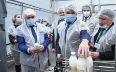 Открытие цеха. Фото cap.ruВ Чувашии появился новый цех по розливу козьего молока развитие АПК 