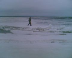 Foto050.JPGСпецслужбы спасли новочебоксарца, оказавшегося на льдине