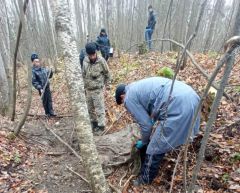 В лесу нашли шкуру лося. Фото МВД по ЧРВ Ибресинском районе полицейские установили подозреваемого в незаконной охоте на лося Охота 