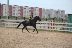 Конный спорт любит трудолюбивых. Фото Марии СМИРНОВОЙК здоровью — верхом на лошади