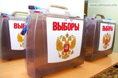 ВыборыРезультаты голосования 16 избирателей Чебоксарского района могут признать недействительными Выборы-2021 