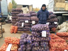 Овощей на рынке много, и пока они дешевы.  Фото Максима ИвановаС “Дарами осени” дешево и удобно