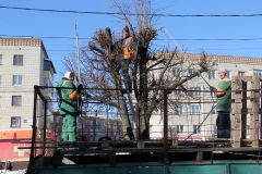 Идет кронирование деревьев по ул. Винокурова.Делаем наш город красивым День работников ЖКХ 