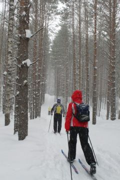 На лыжах можно добраться до деревни Иван-Беляк.Держим путь на Новый год! Тропой туриста 