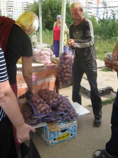 На рынке картофель по 12 рублей. Цены на овощи поползли вниз цены фоторепортаж 
