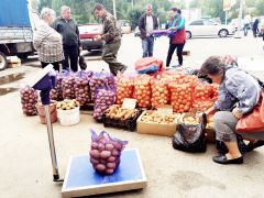 На рынке “Новочебоксарский” открылась сельхозярмарка “Дары осени”. Фото автораСвоя картошка ближе ярмарка 