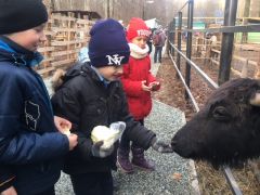В Новочебоксарском зоопарке детвора опробовала новые дорожки из мраморной крошки (фото, видео) Зоопарк Ельниковская роща 