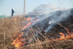 IMG_7022.JPGВ выходные горела трава на набережной Новочебоксарска экология 