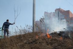 IMG_7040.JPGВ выходные горела трава на набережной Новочебоксарска экология 